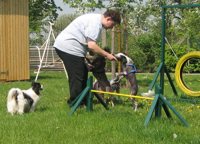 Belohnung gibt�s trotzdem