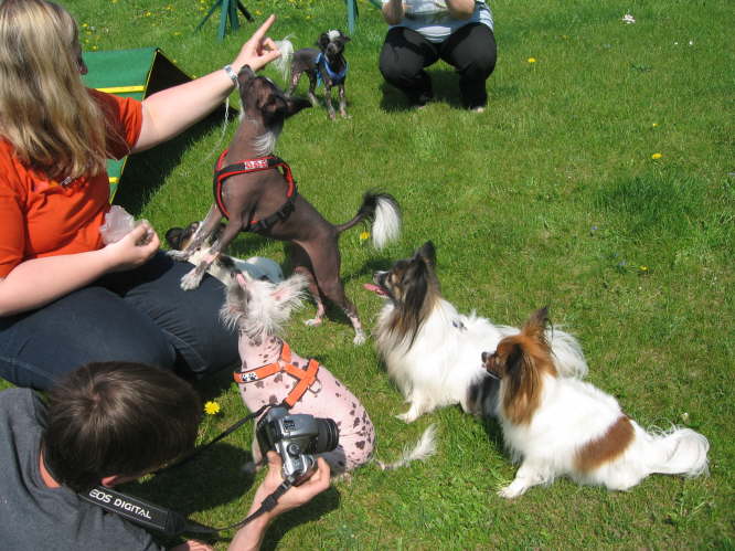 alle k�nnen so sch�n "Sitz"