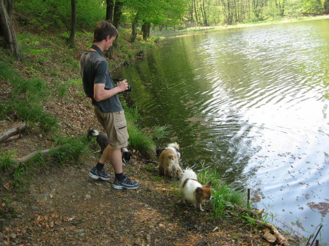 Mal sehen, ob einer in�s Wasser geht.