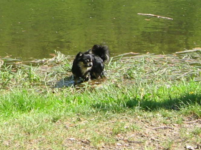 Aber auch Kiro ist mutig.