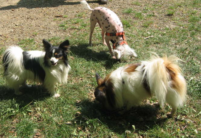 Neo, Peewee und Kr�mel