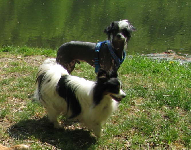 Neo und Jin Ji
