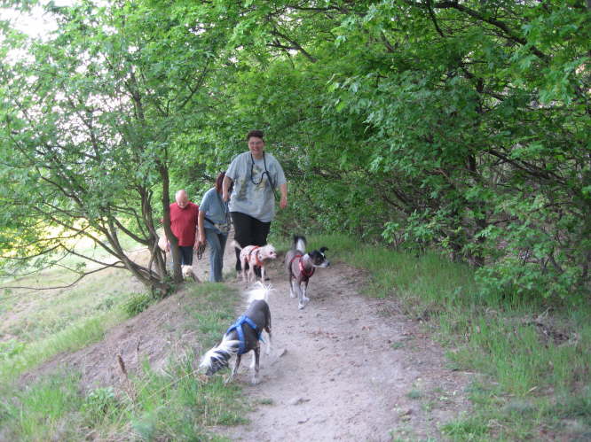 Ein steiler Aufstieg