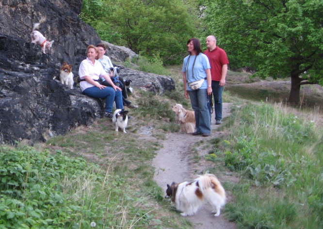 Peewee wird Bergsteiger