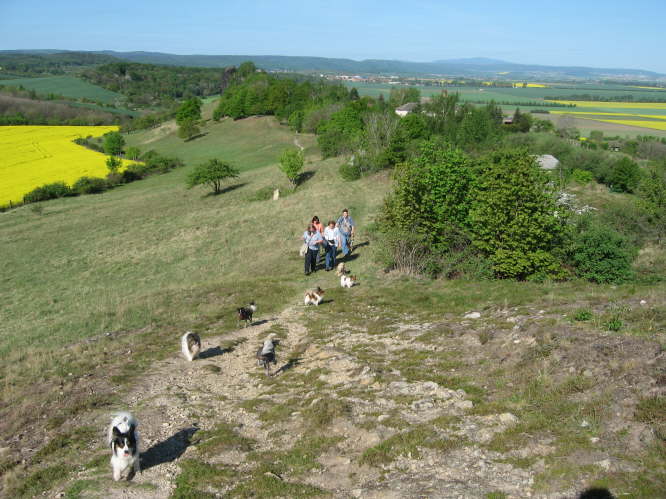 Gegensteine