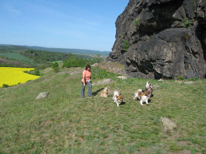 Frauchen kommt zur�ck.