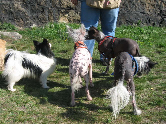 Was gibt�s denn da?