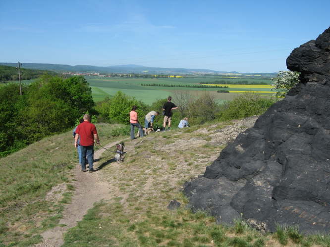 Blick zum Brocken