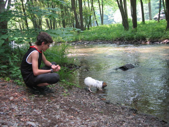 an der Selke