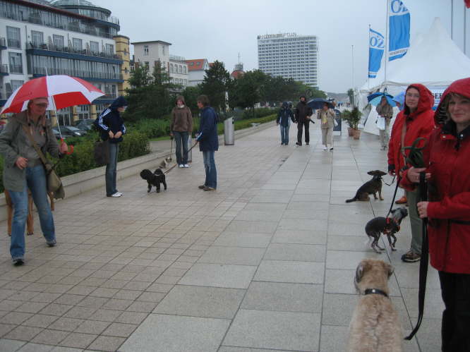 Hundeausbildung mit Frau Fechner
