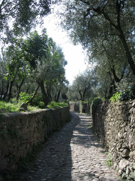 Direkt in den Olivenhainen.