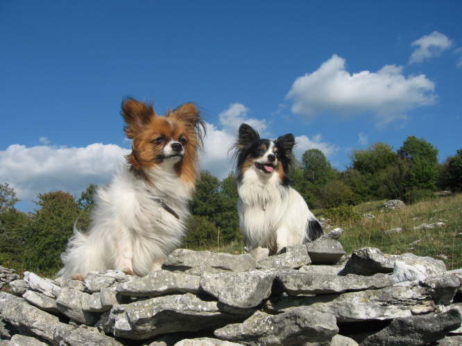 Da hatte man eine Aussicht!