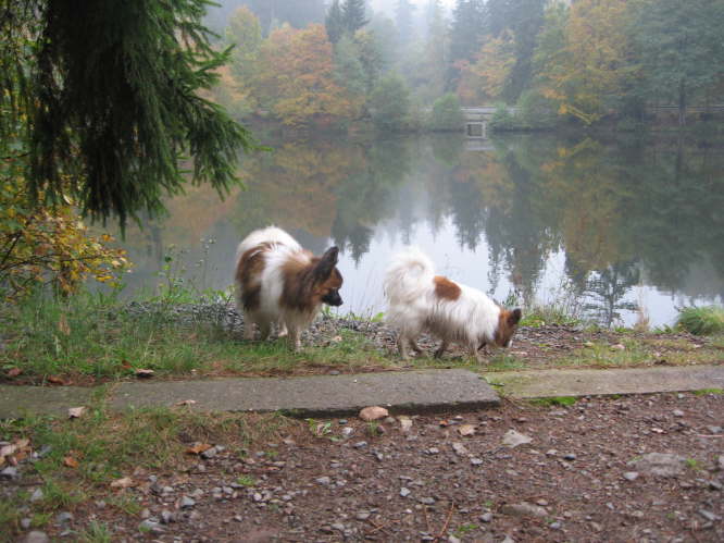 Am heiligen Teich.