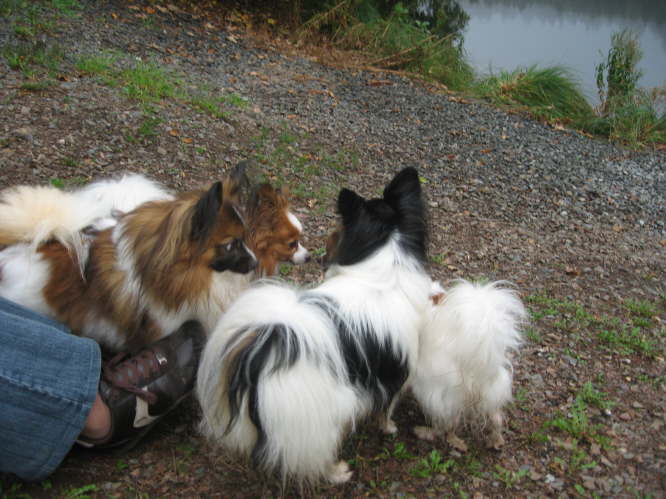 Schau mich mal ganz fest an.