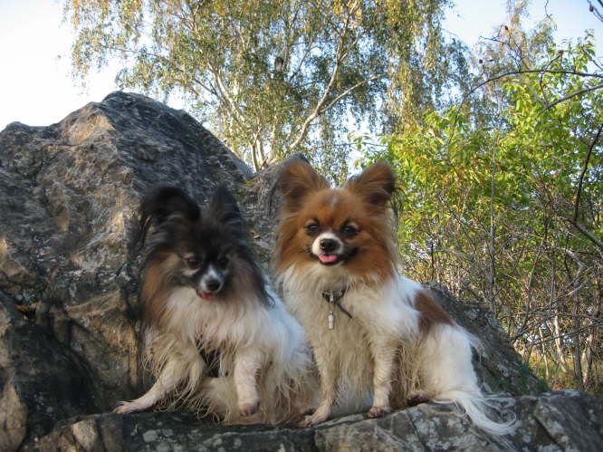 Papa Pelle und Tilli.