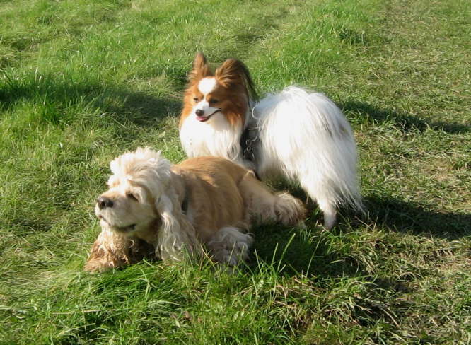 Timmy u. Happy - erste Ann�herung