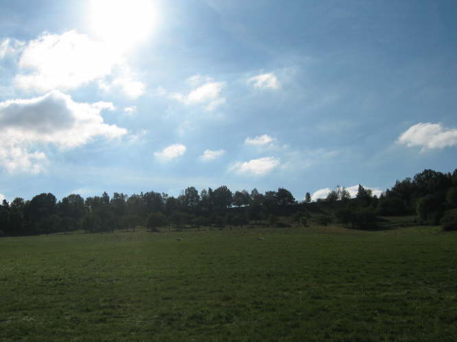 Kr�mel u. Tilli auf M�usejagd.