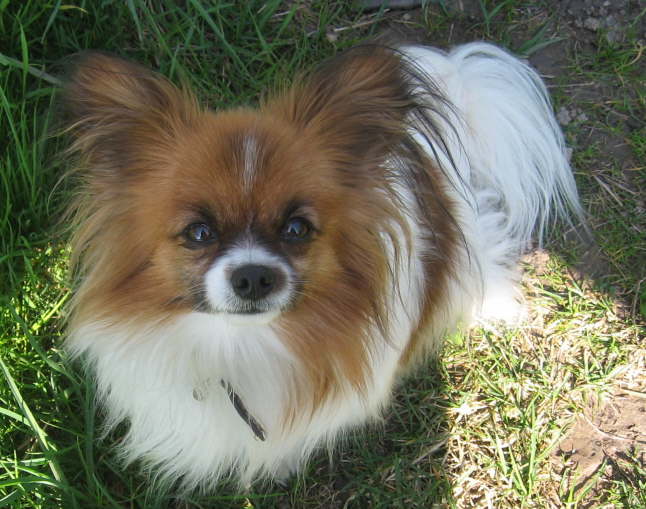 Ich hab ihn nicht gefunden.