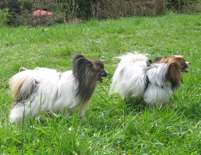 Pelle und Alex