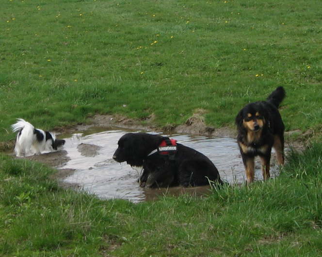 Oder waren Vorbild ;-)
