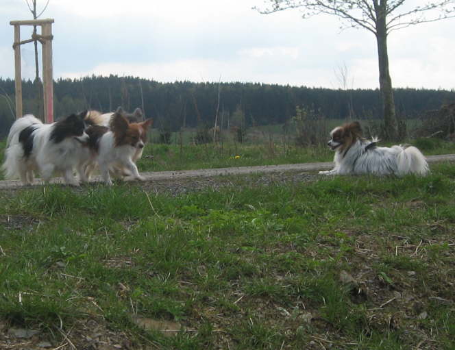 Neo, Elisa und Alex