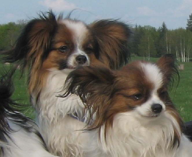 Alex und Alina