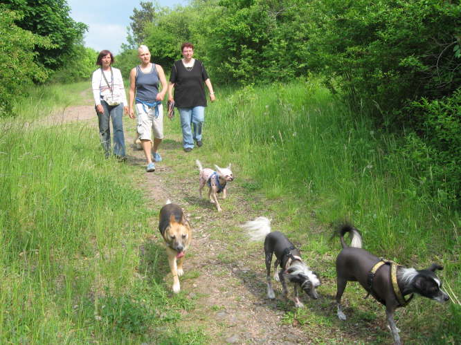 auf dem Weg zur Roseburg