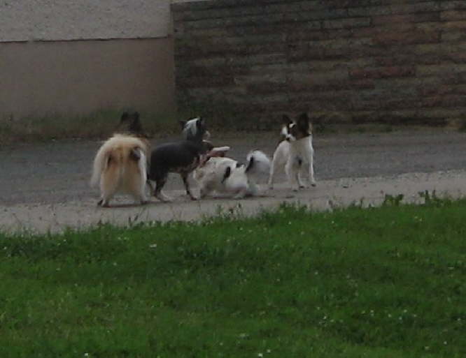 Was geht denn da ab?