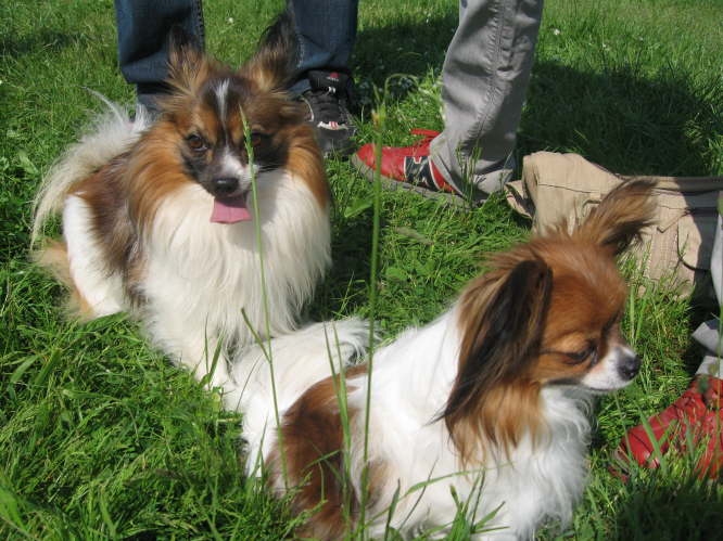 Kr�mel flirtet mit Adi