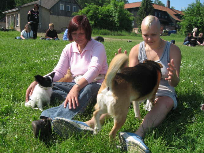 Gitti, Mandy und Sunny