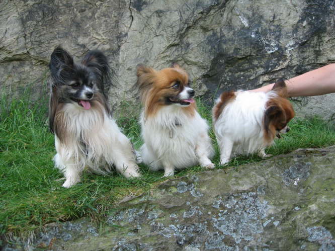 ���h, nicht anfassen