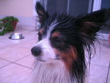 ist doch auch ganz schick