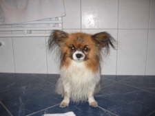 na, ich wei� ja nicht