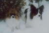 Neo und Tilli 