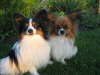 Neo und Tilli 