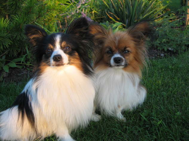 Neo und Tilli 