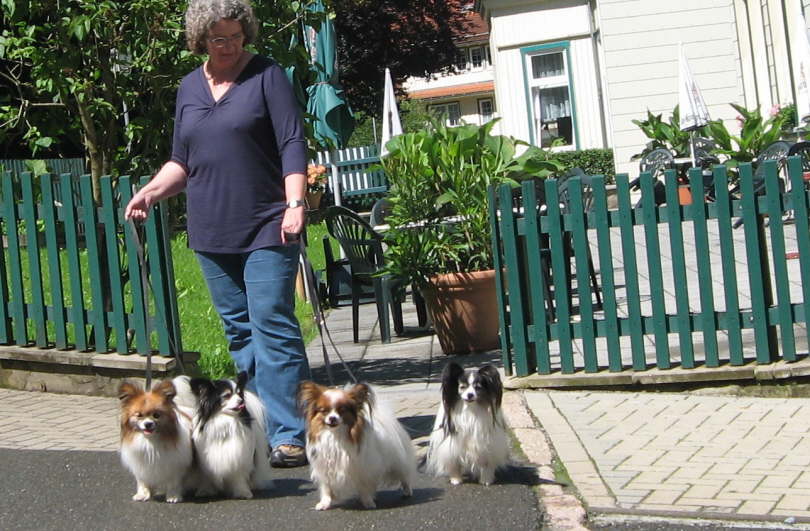 Susanne und vier Papillons 