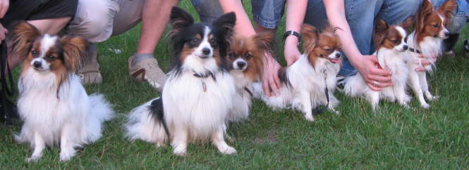 Alex, Neo, Tilli, Adi, Alina, Elisa