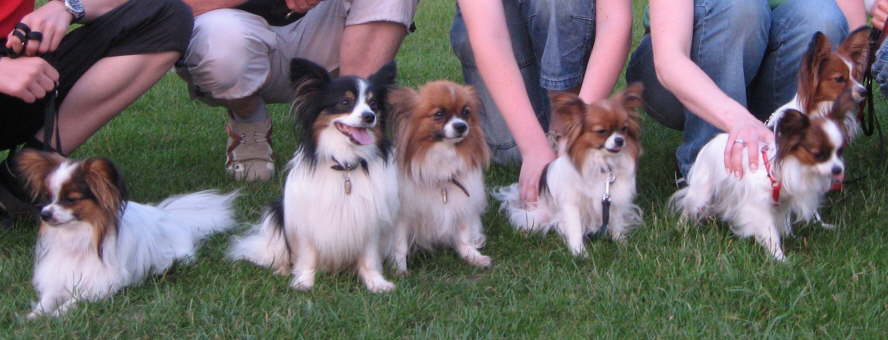 Gruppenfoto
