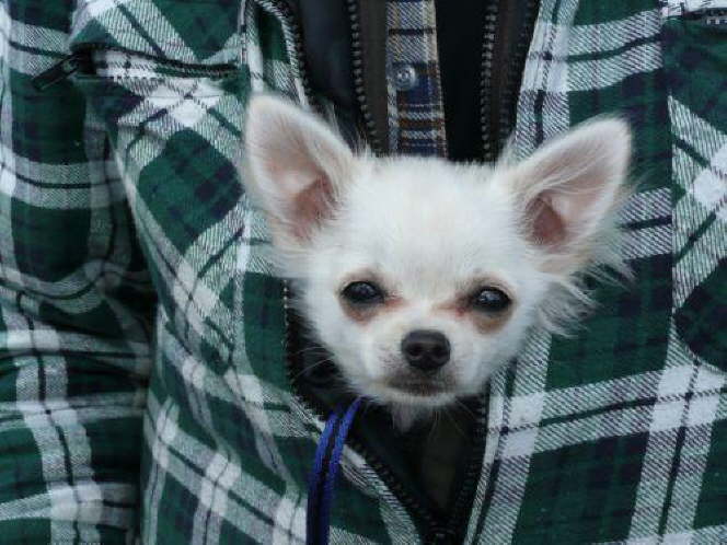 und genoss seinen Ausguck.