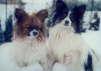 Neo und Tilli 