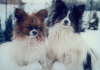 Neo und Tilli 