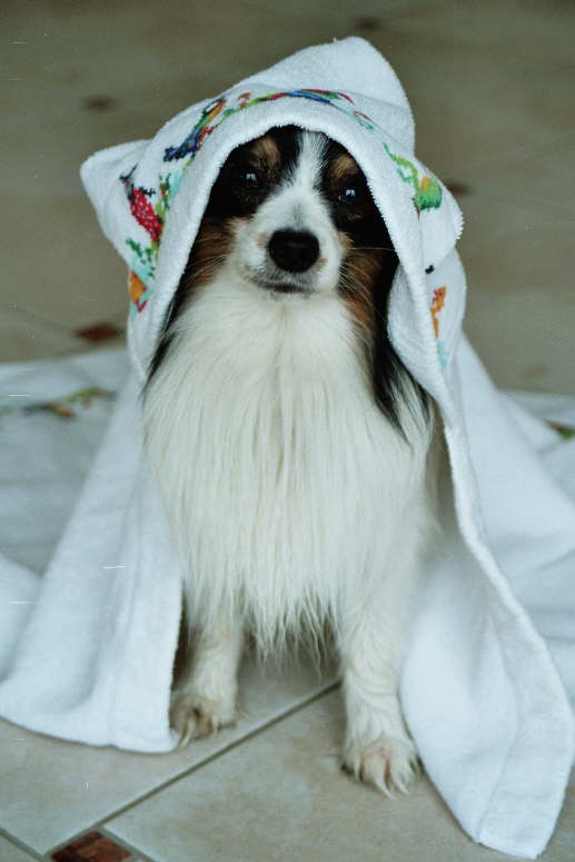 nach dem Baden