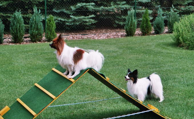 prima Aussicht hier oben