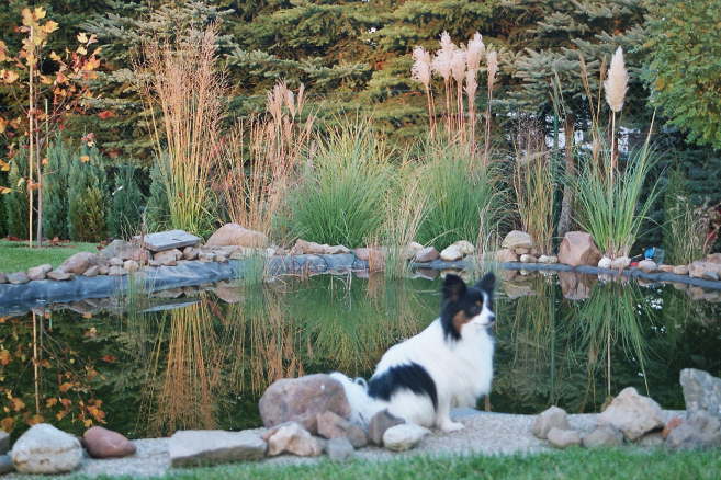 und wo ist mein Spiegelbild