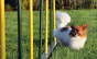 wo geht�s nochmal lang